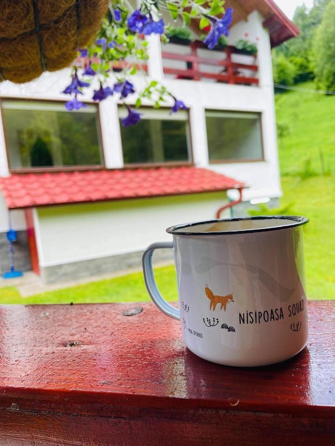 Cabana Nisipoasa Malomvíz Kültér fotó