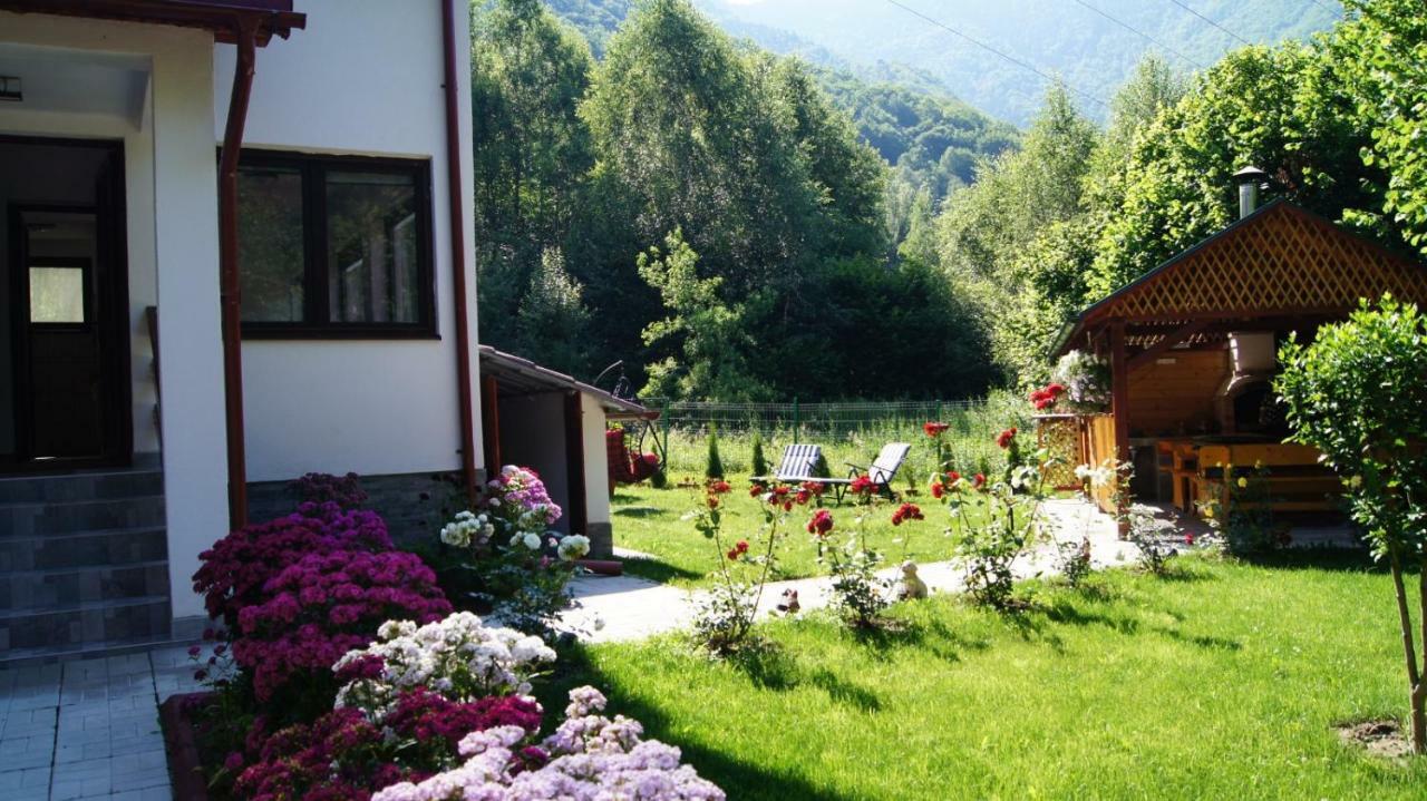 Cabana Nisipoasa Malomvíz Kültér fotó